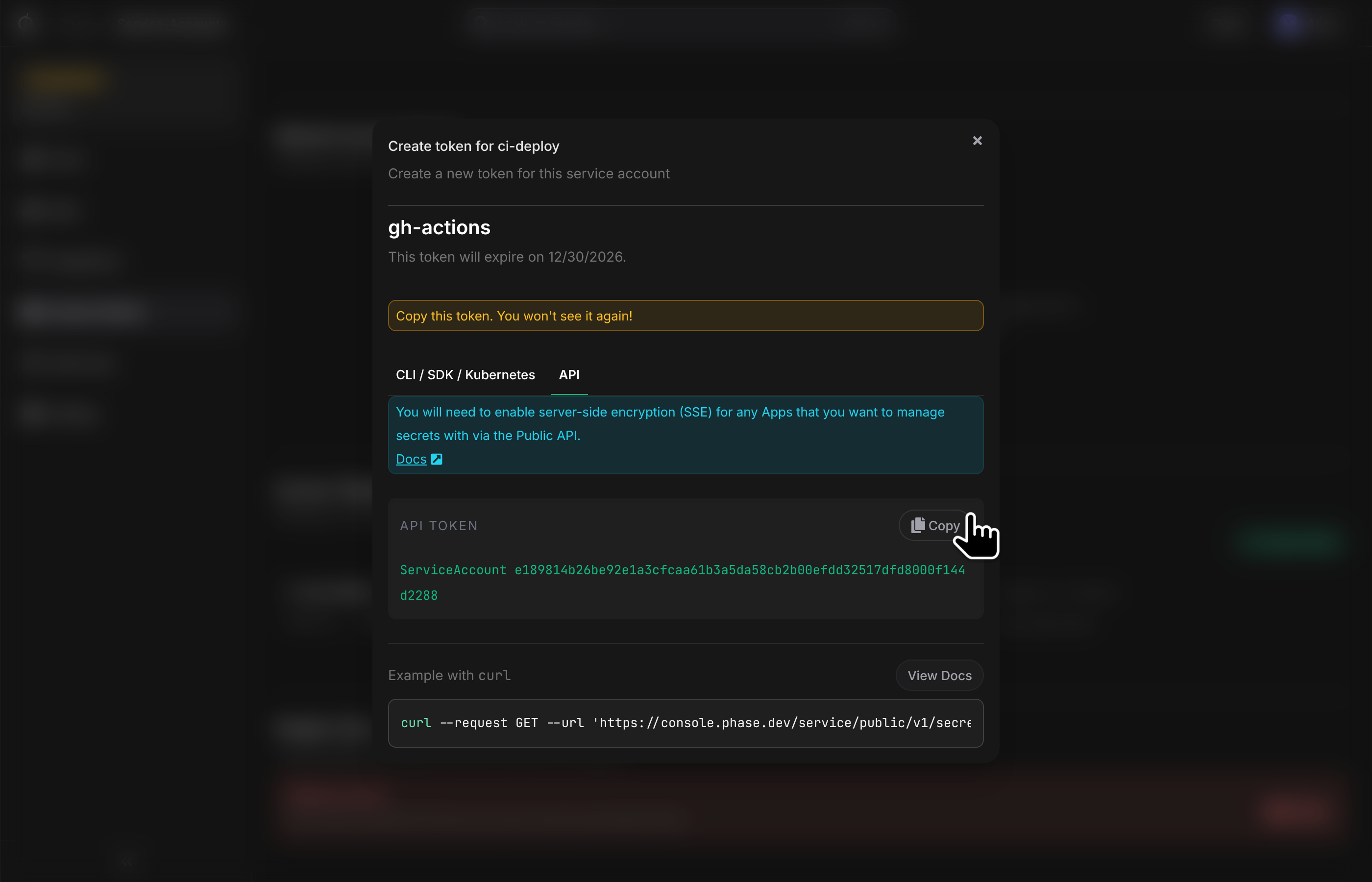 Copy REST API Token