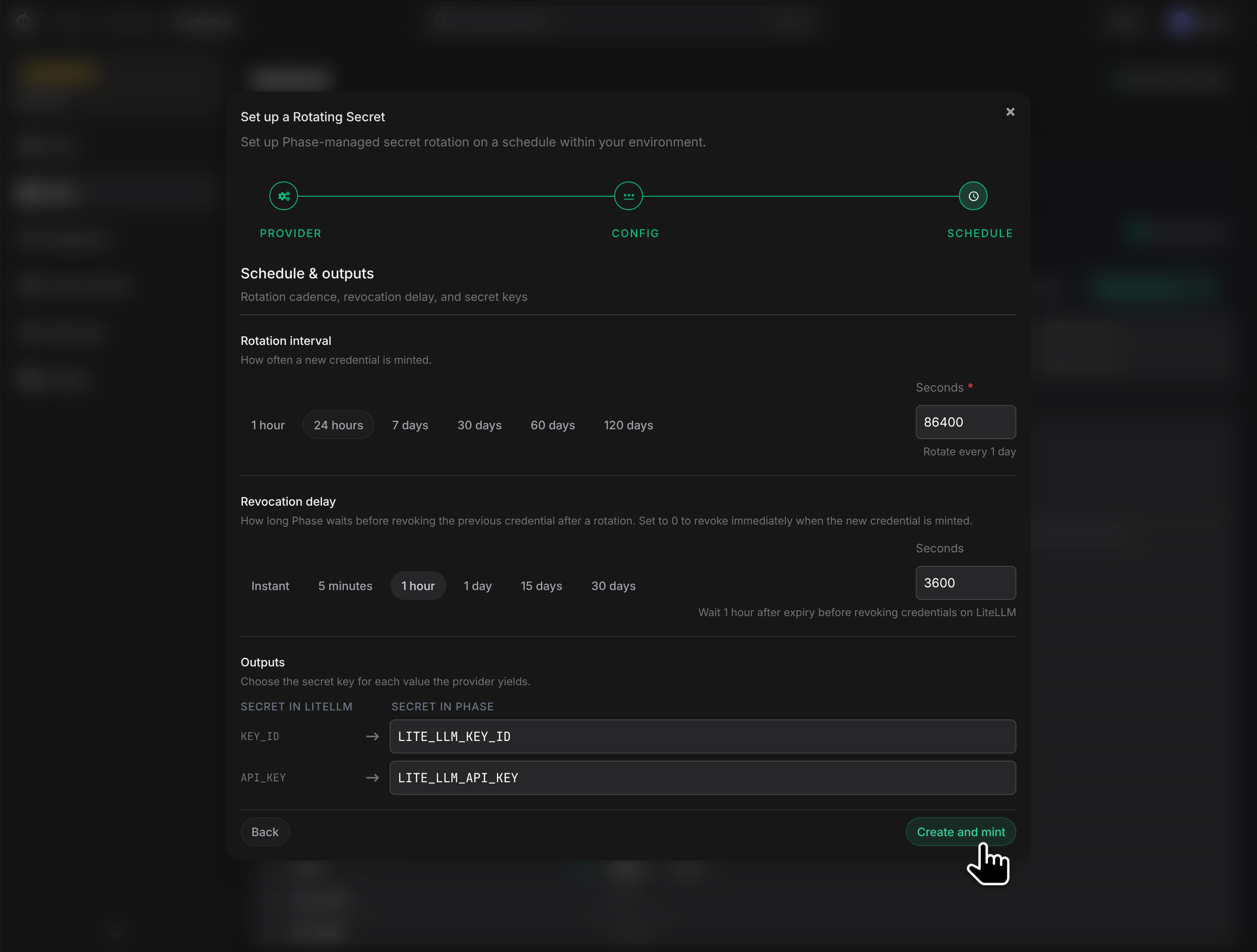 LiteLLM outputs and schedule